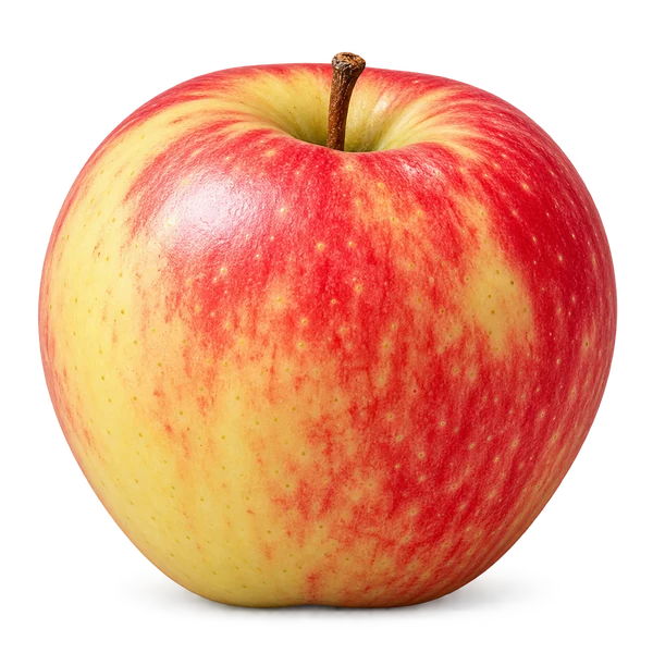 Ambrosia apple
