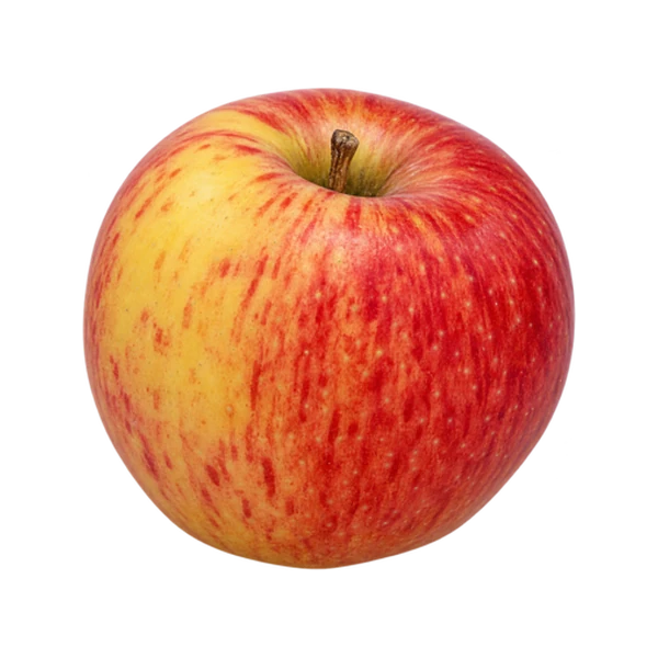 Autumn Glory apple