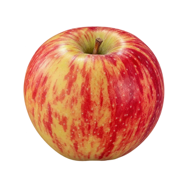 Cameo apple
