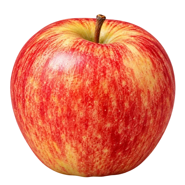 Gala apple