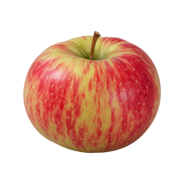 Northern Spy apple