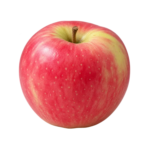 Pacific Rose apple