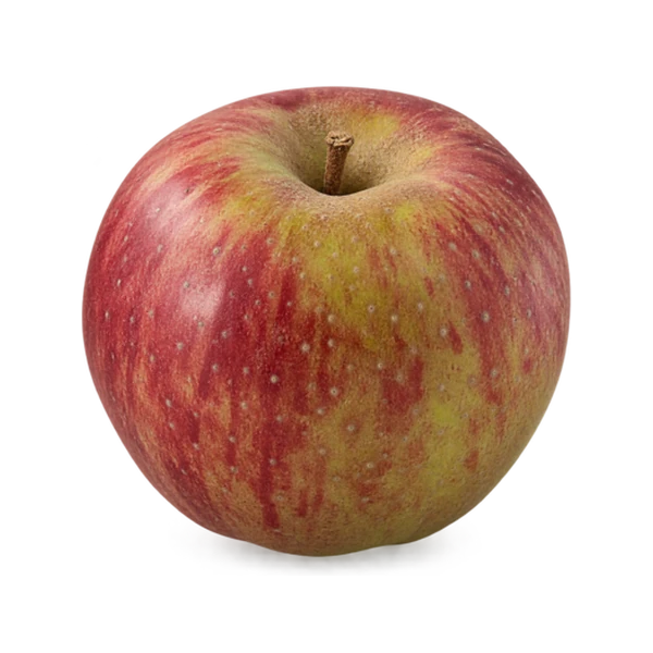 Stayman apple